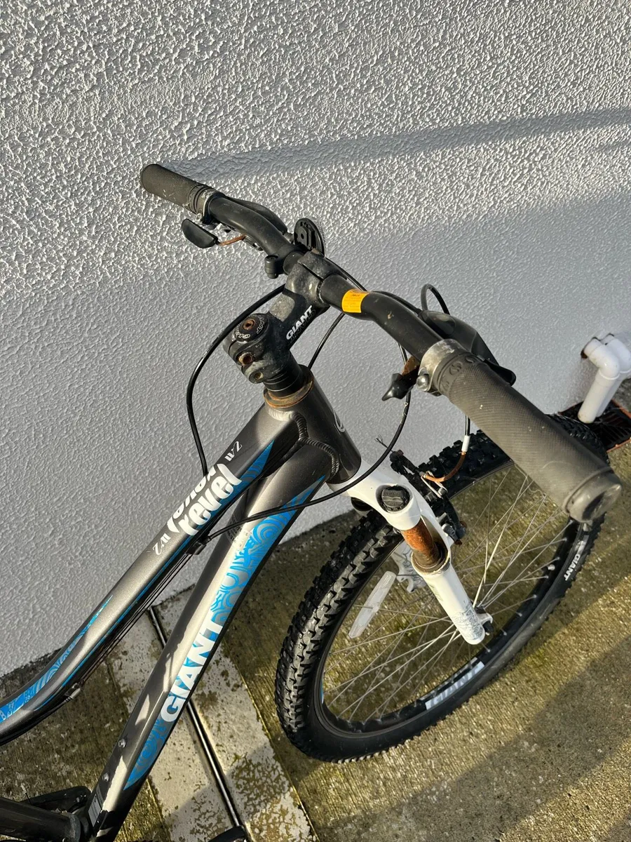 Giant Bike - Image 3