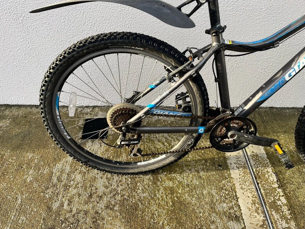 Giant Bike - Image 4