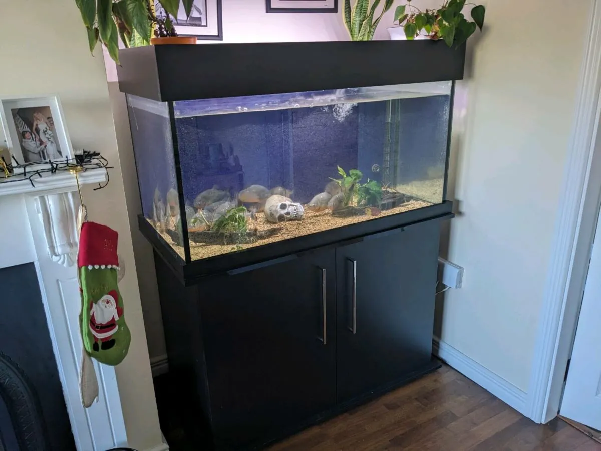 Custom 450 Liter Aquarium - Image 1