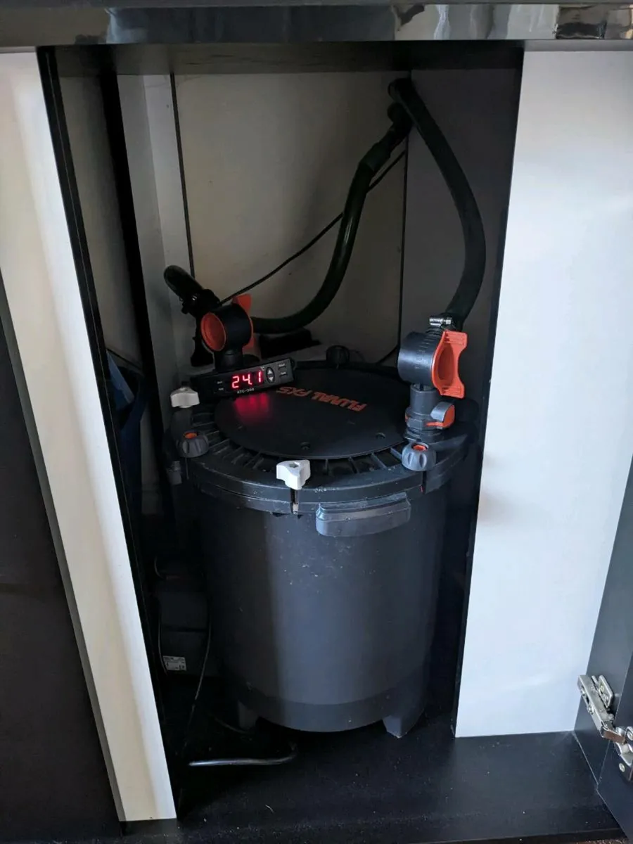 Custom 450 Liter Aquarium - Image 4