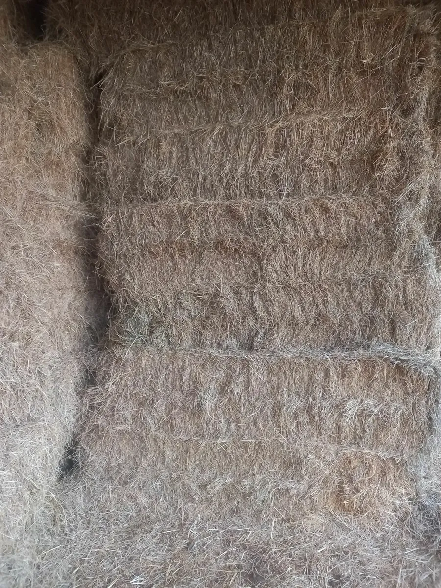 Hay - Image 1