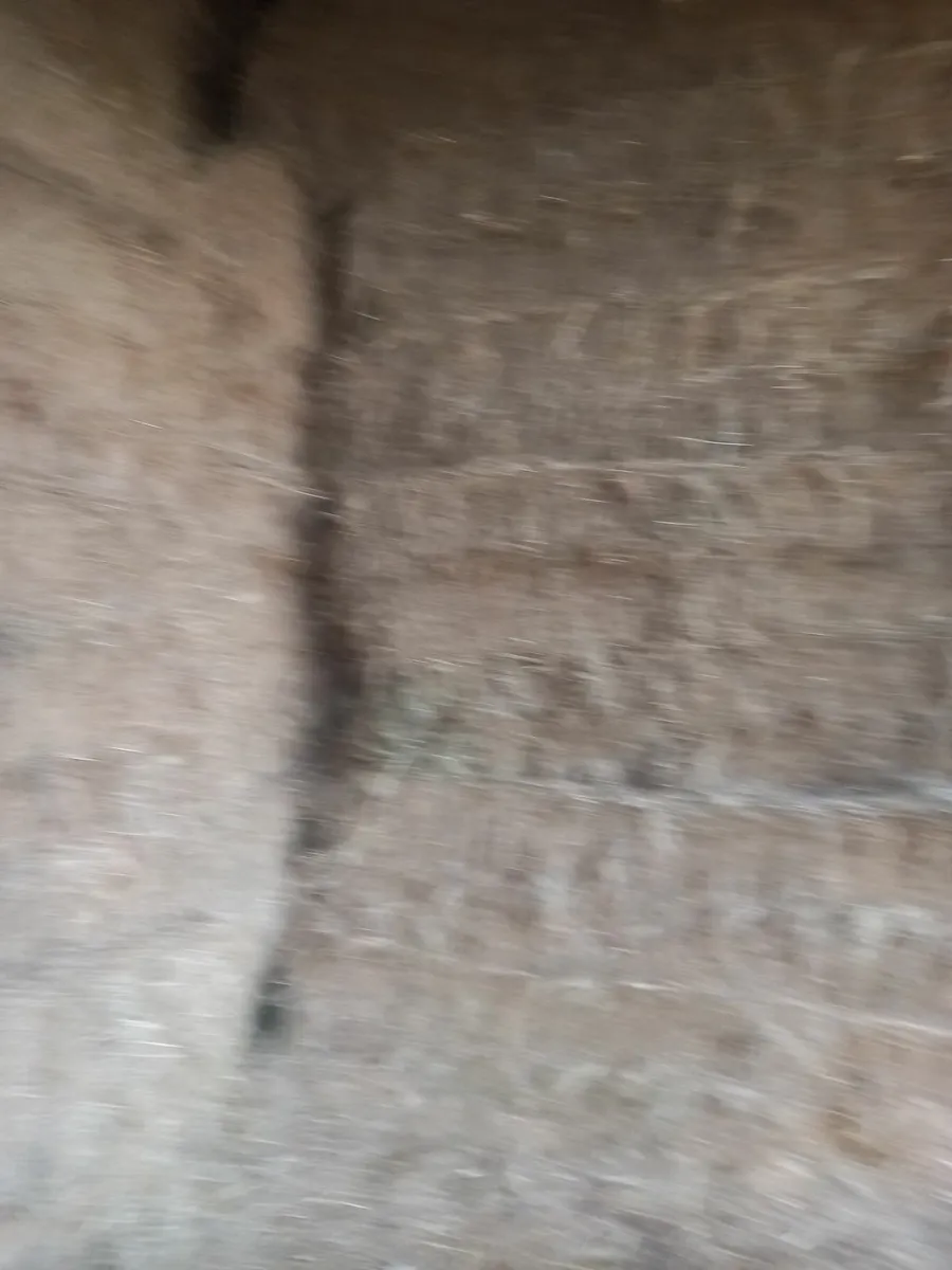 Hay - Image 2