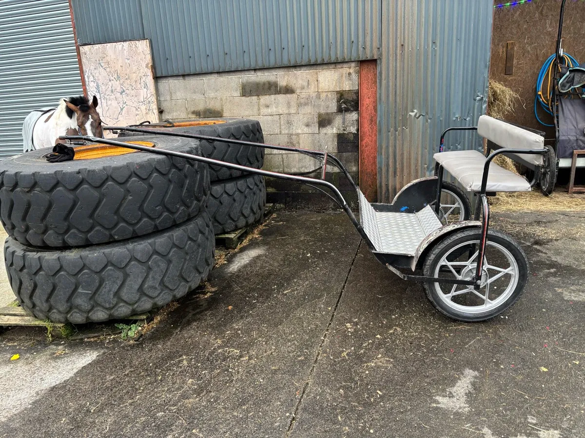 Road cart - Image 1
