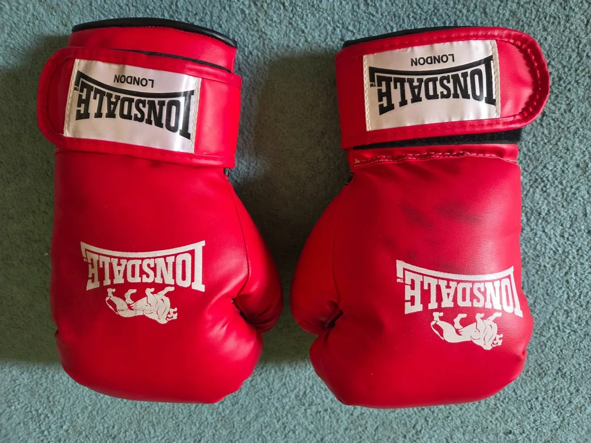 Lonsdale Boxing Set - Image 1
