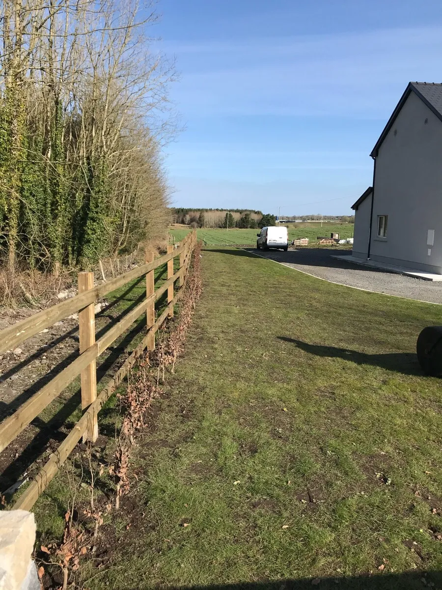 Bareroot planting - Image 2