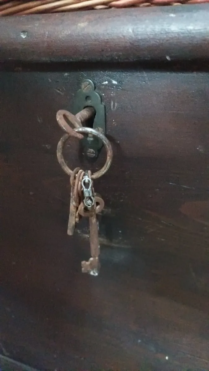 Large Antique Trunk - Image 3