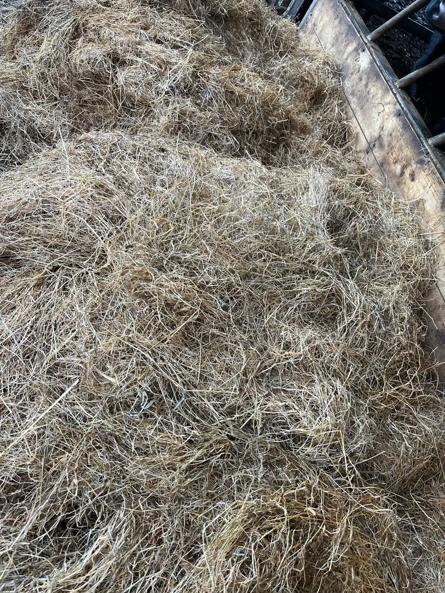 Haylage - Image 2