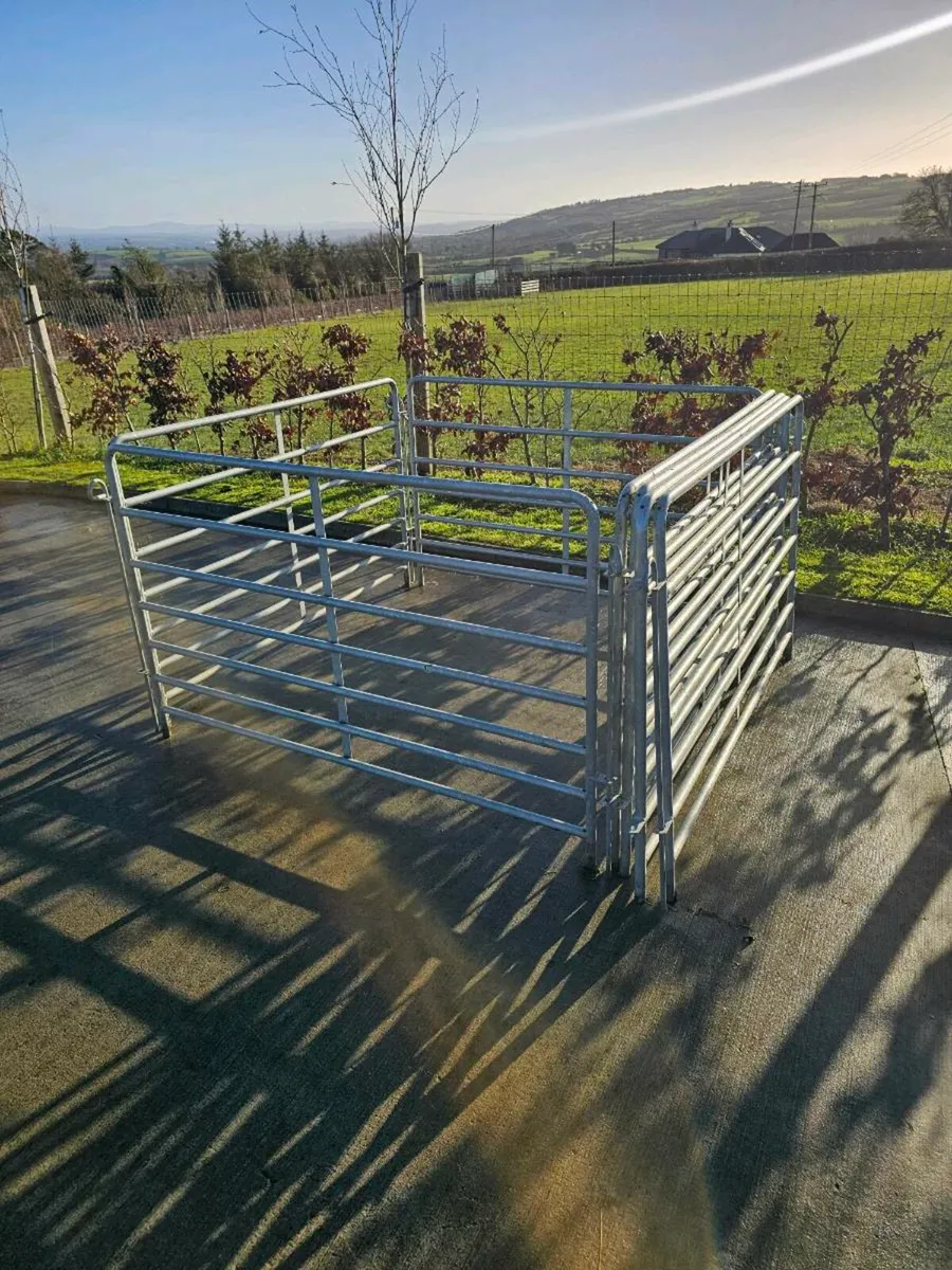 Sheep Hurdles - Image 2
