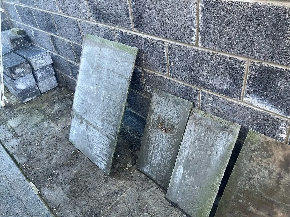 Paving slabs - Image 1