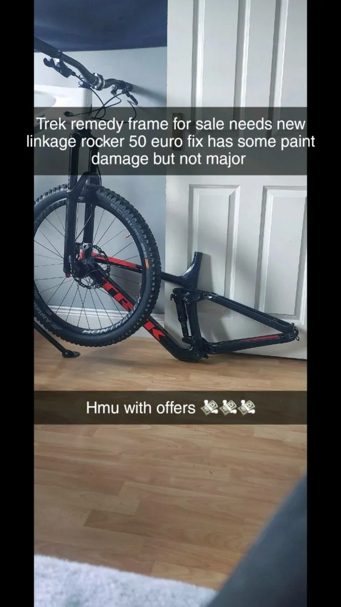 Trek remedy frameset - Image 2