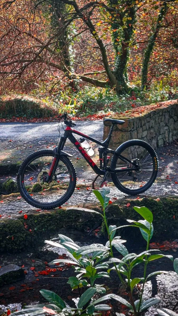 Trek remedy frameset - Image 3