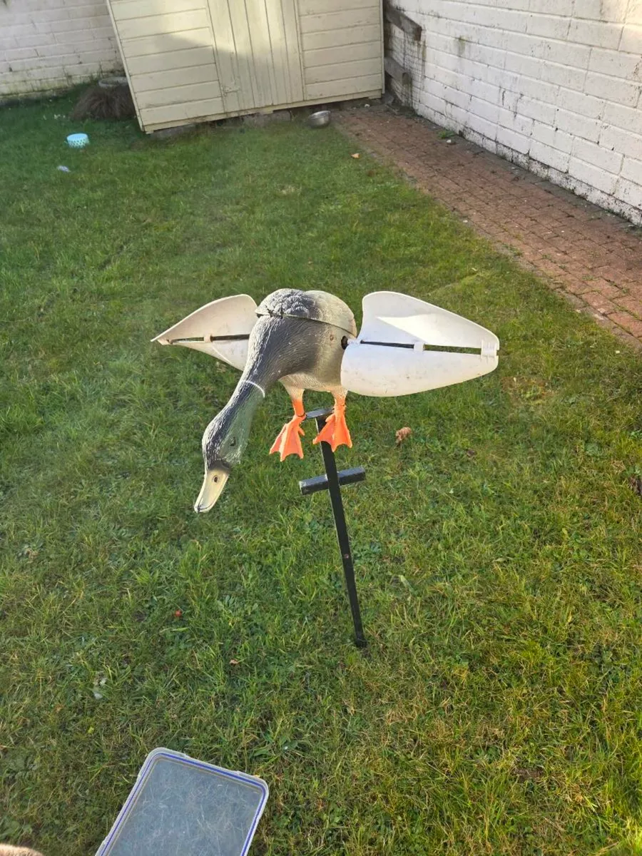 Mojo duck decoy electric + wind - Image 1