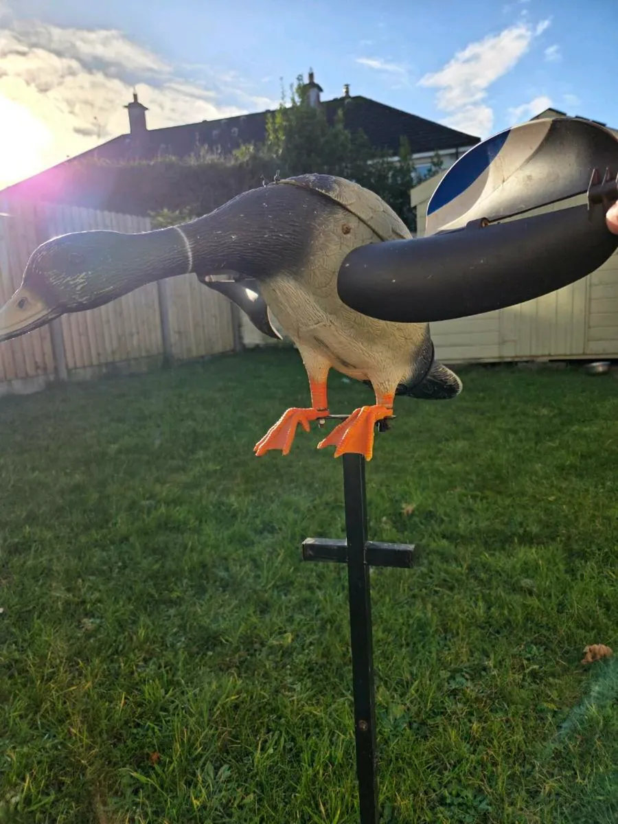 Mojo duck decoy electric + wind - Image 4