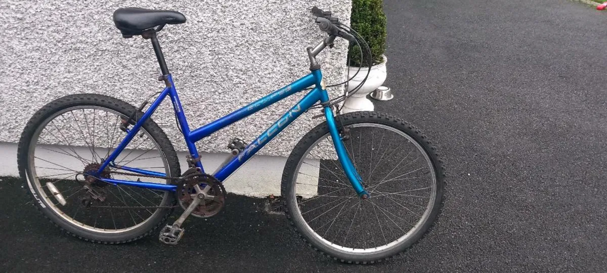 Adult  bike - Image 1