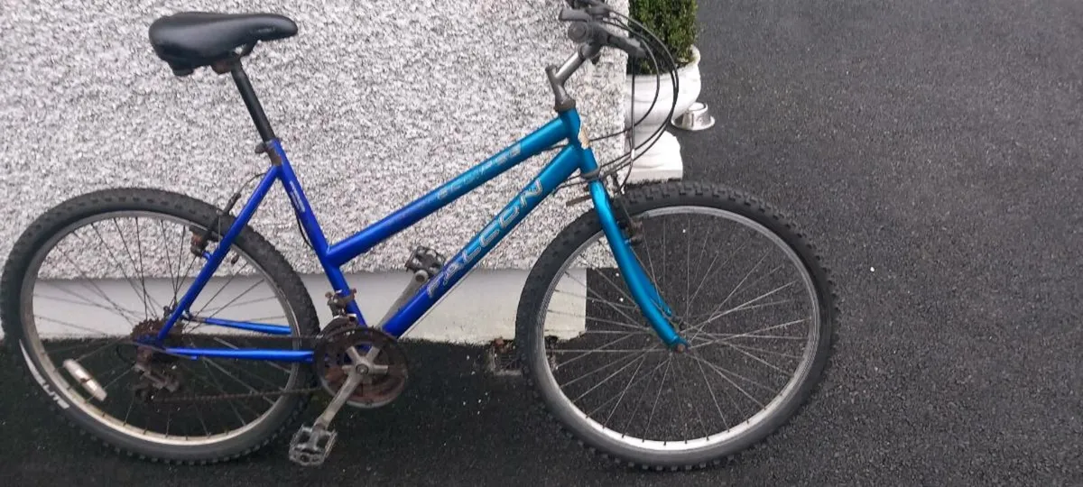 Adult  bike - Image 2