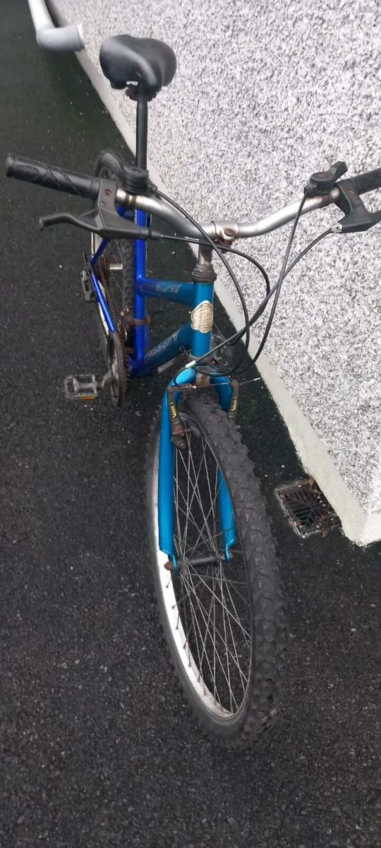 Adult  bike - Image 3