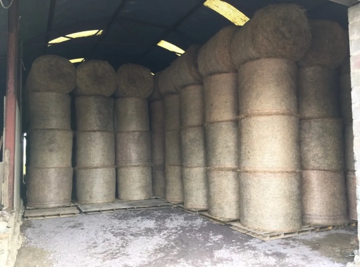 Hay For Sale