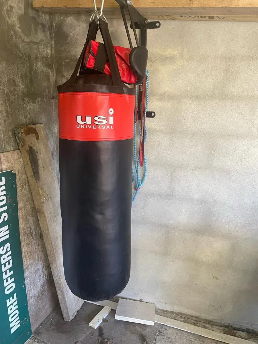 Punch bag and wall mount - Image 1