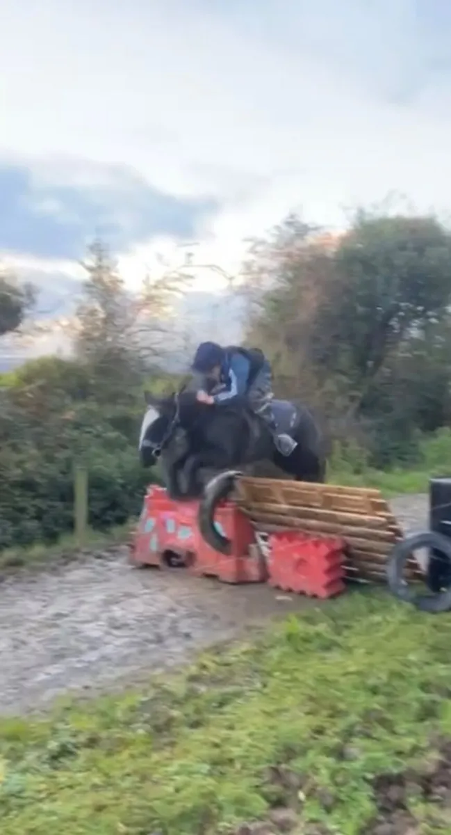 ⭐️Maggie⭐️ - Image 1