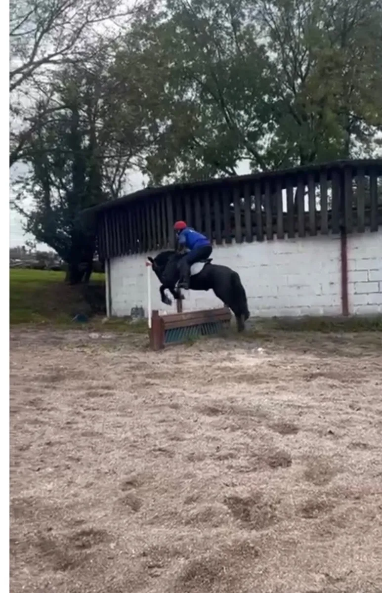 ⭐️Maggie⭐️ - Image 2