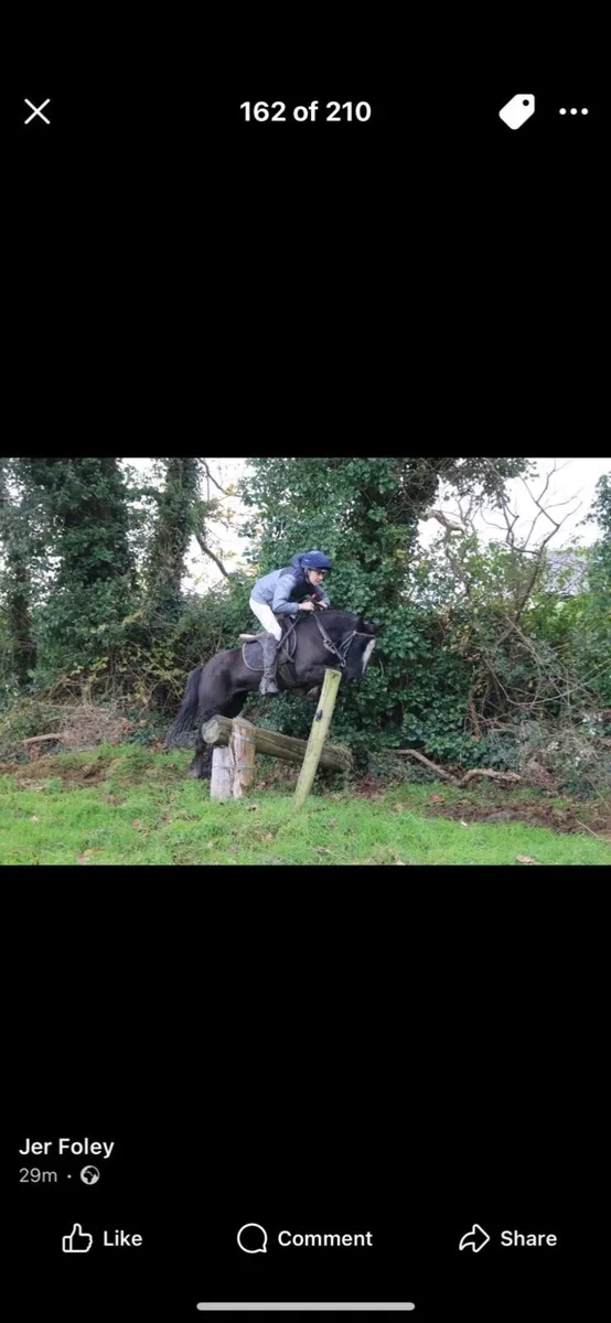 ⭐️Maggie⭐️ - Image 3