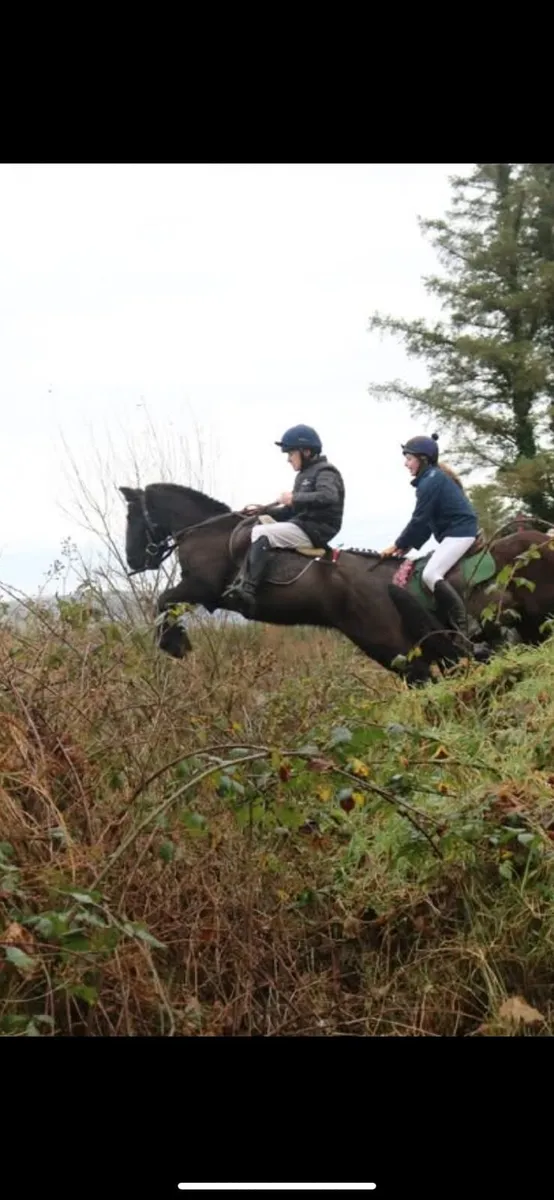 ⭐️Maggie⭐️ - Image 4