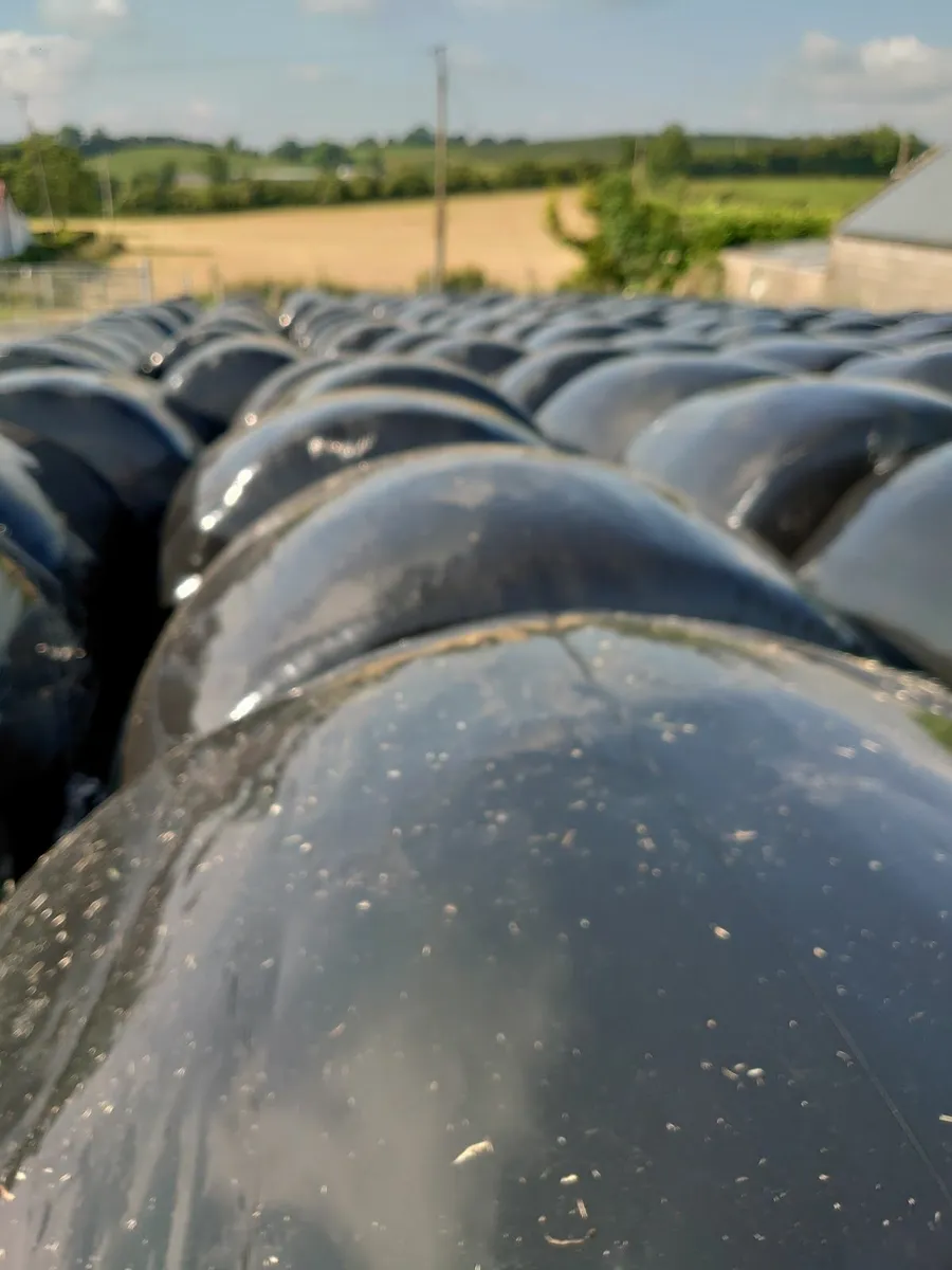 Silage for sale Co.Meath - Image 2