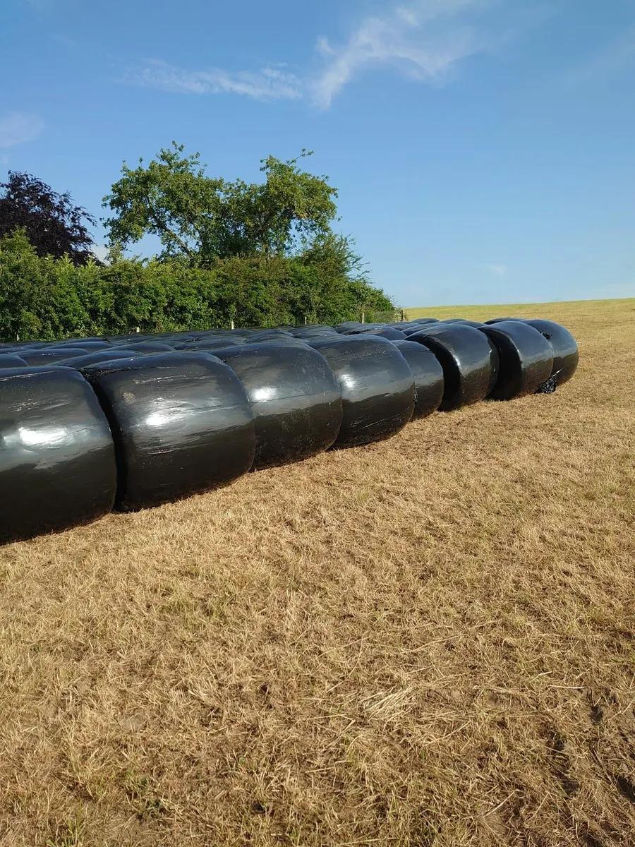 Silage for sale Co.Meath - Image 3