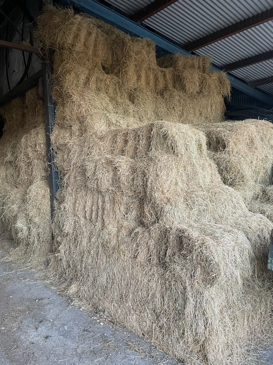 Hay for sale - Image 1