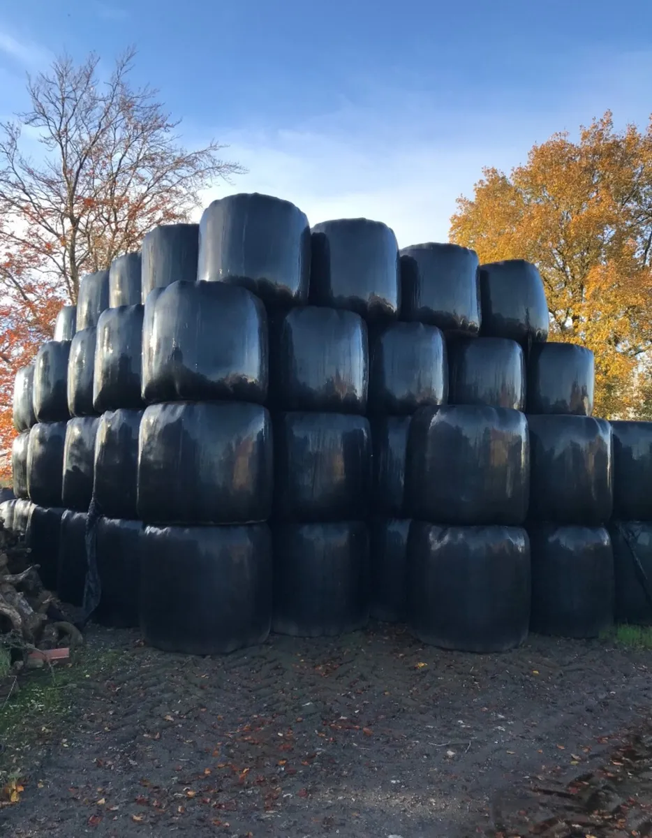 Haylage bales for sale