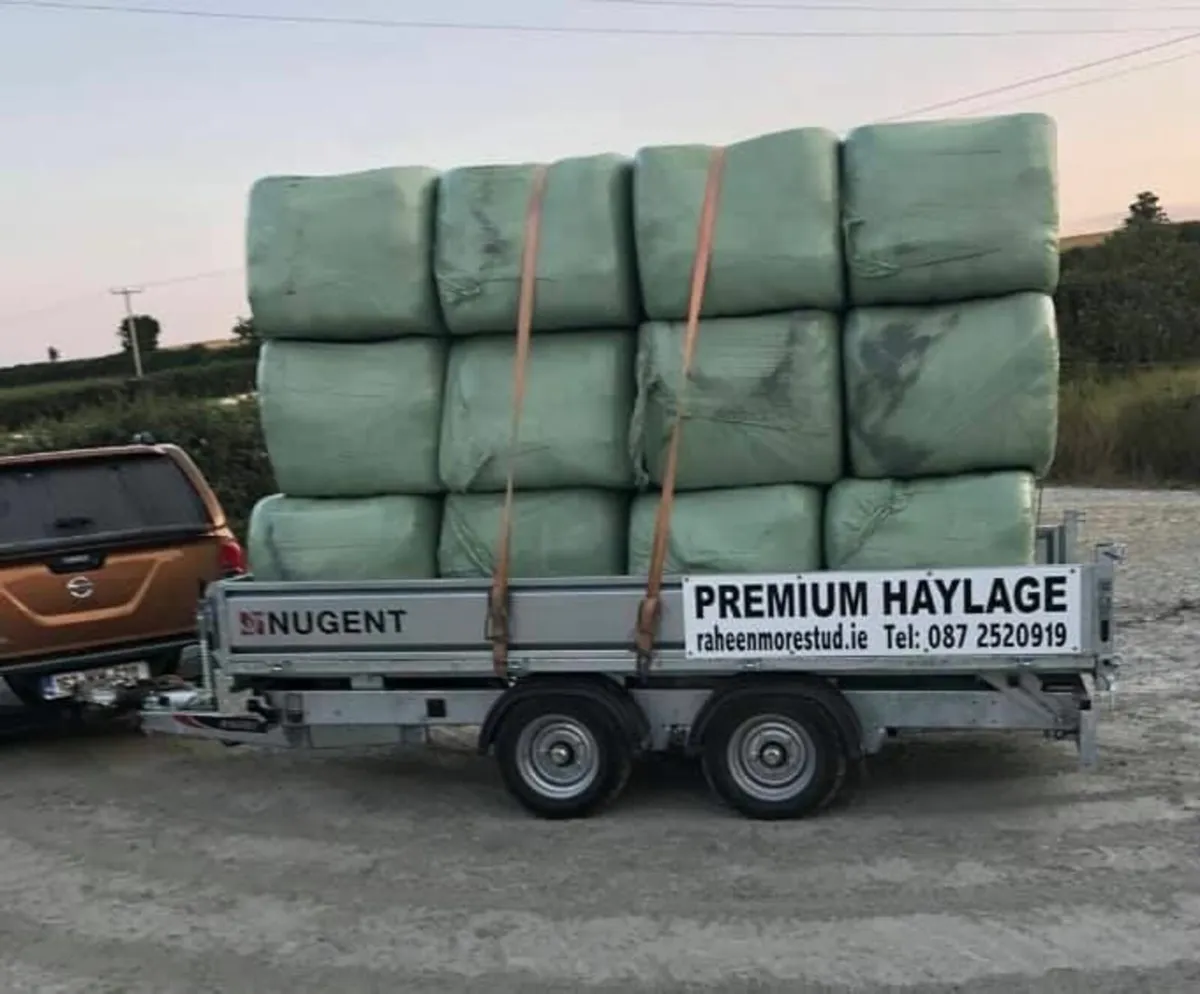 Sign Writing Fitted! - Image 2