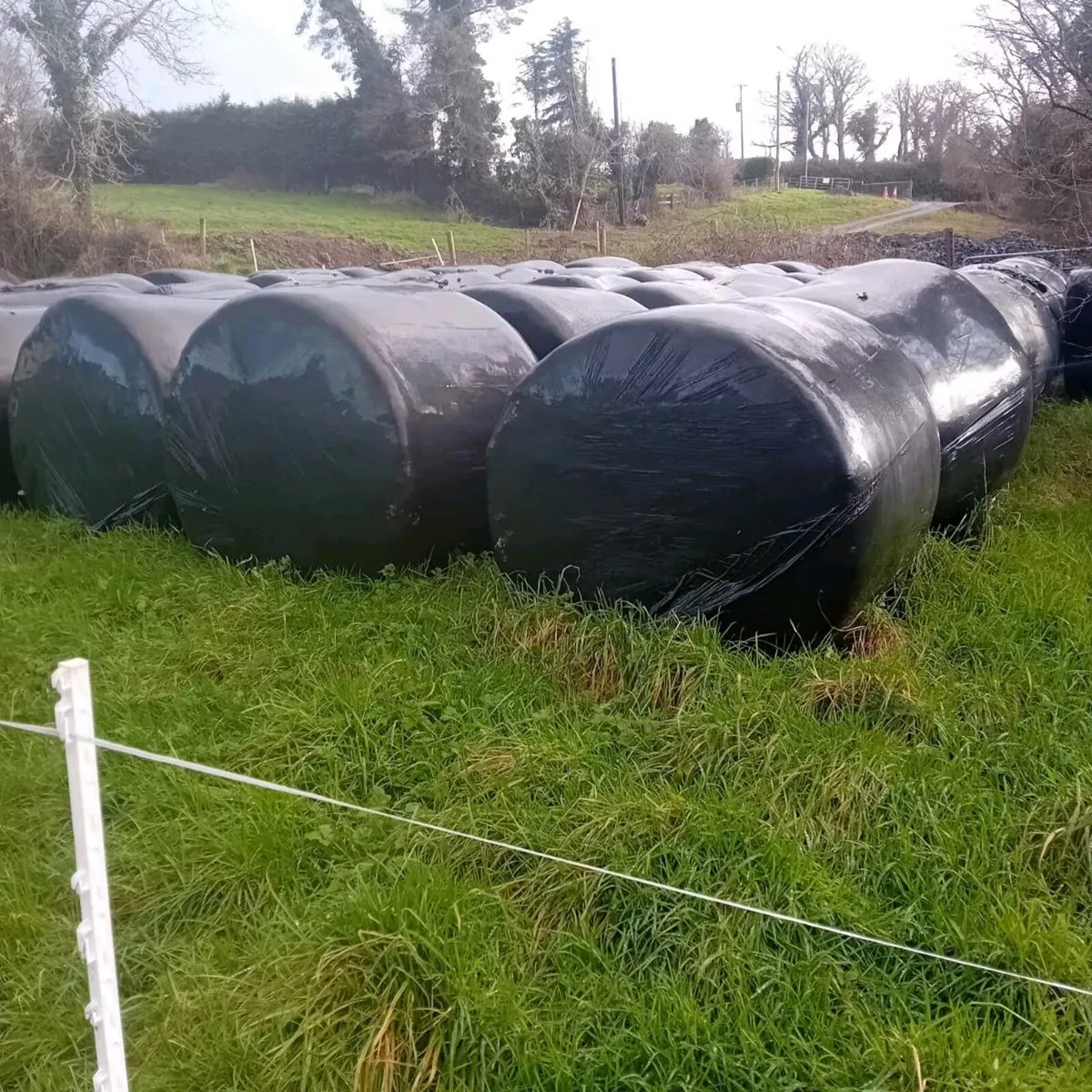 Good quality silage for sale - Image 1