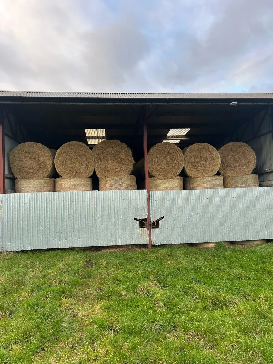 June hay ,no fert/spray , - Image 2