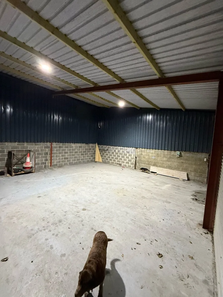 Garage for rent Blessington - Image 2