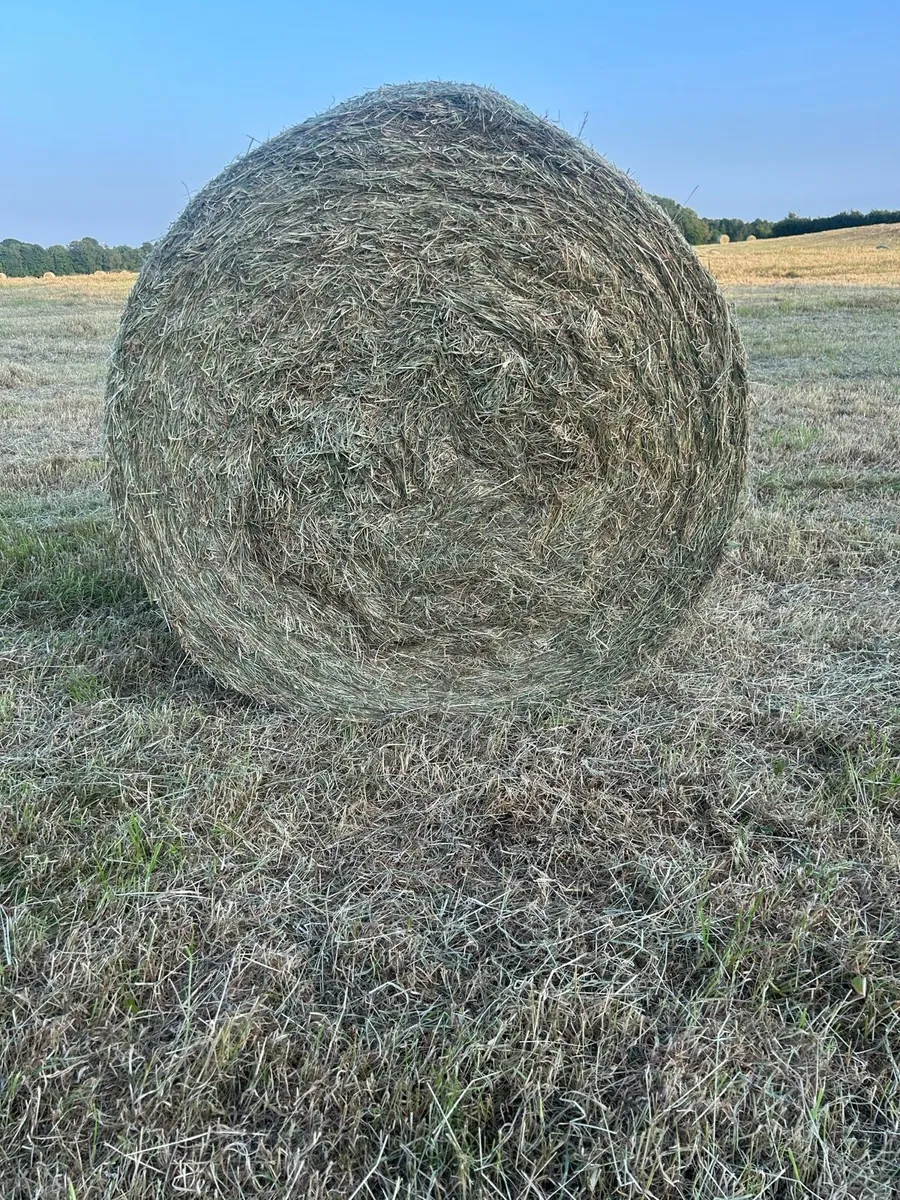 June hay ,no fert/spray , - Image 1