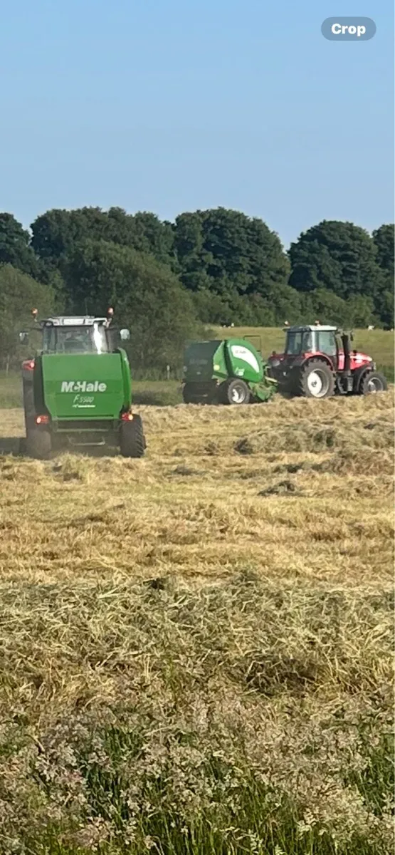 June hay ,no fert/spray , - Image 4