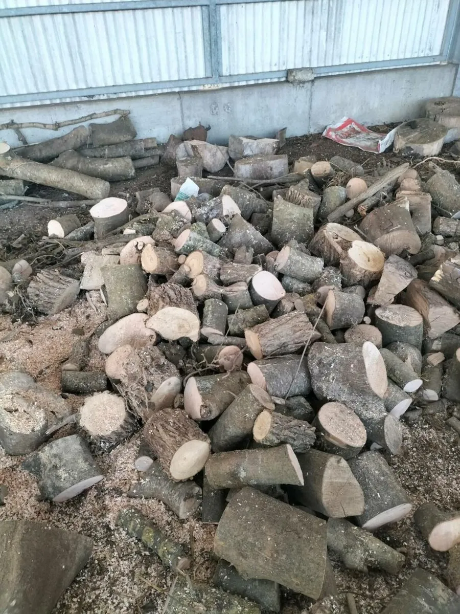 Firewood - Image 3