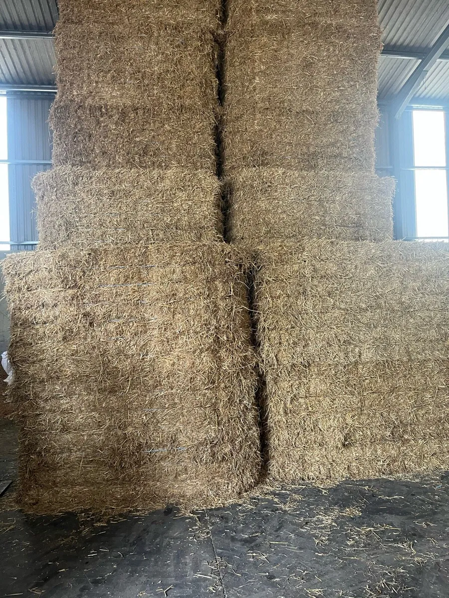 Pre chopped wheaten and barley straw - Image 1