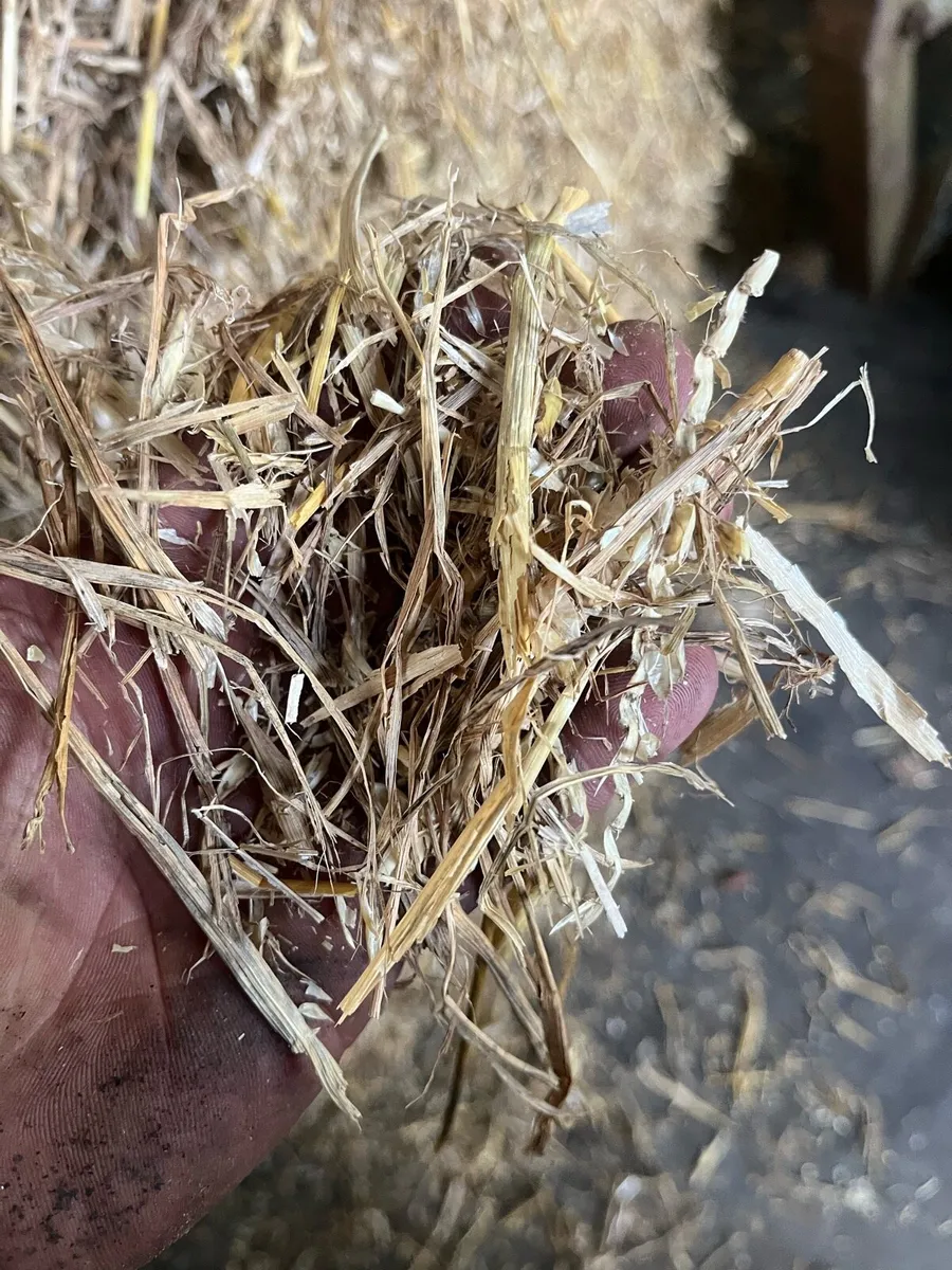 Pre chopped wheaten and barley straw - Image 3