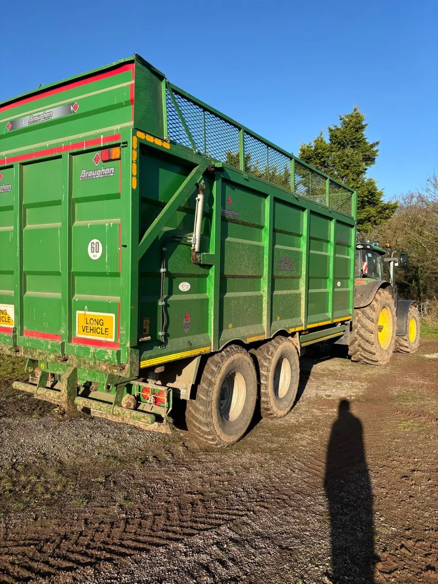 Sugar beet - Image 3