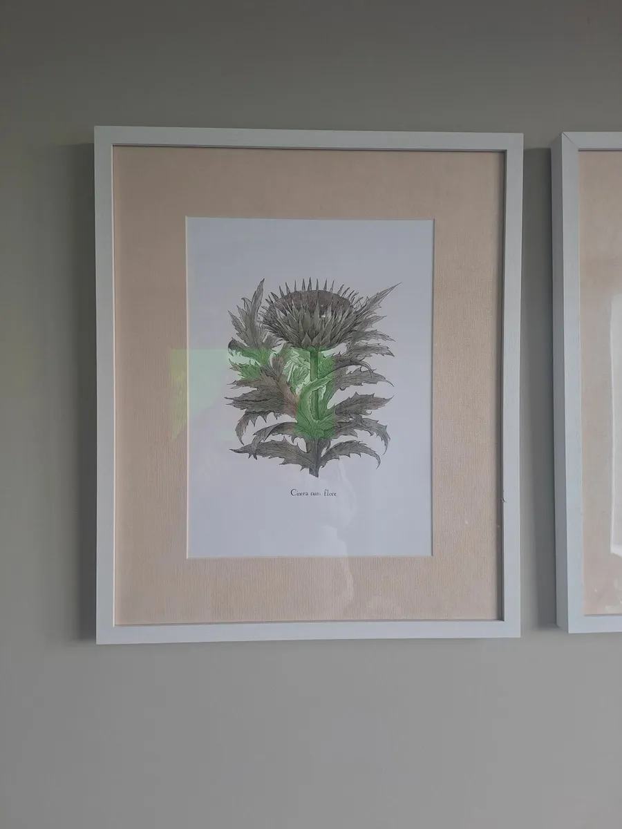 Neptune Pictures - Image 1