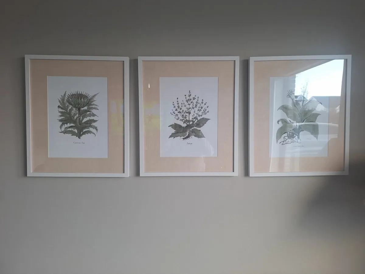 Neptune Pictures - Image 2