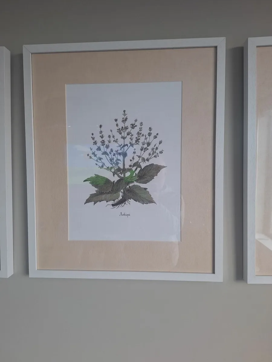 Neptune Pictures - Image 3