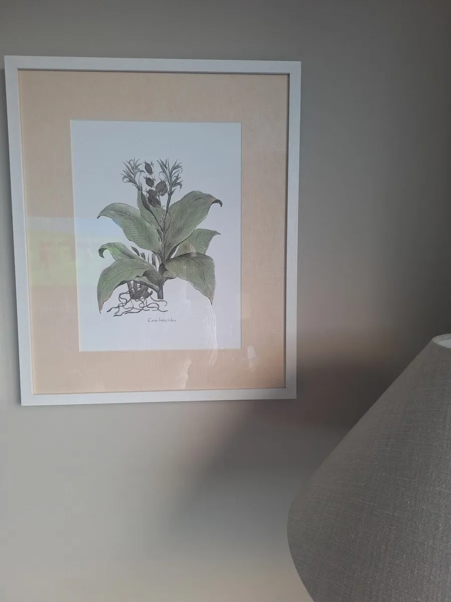 Neptune Pictures - Image 4