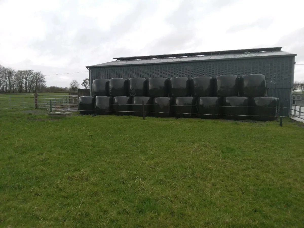 Silage bales