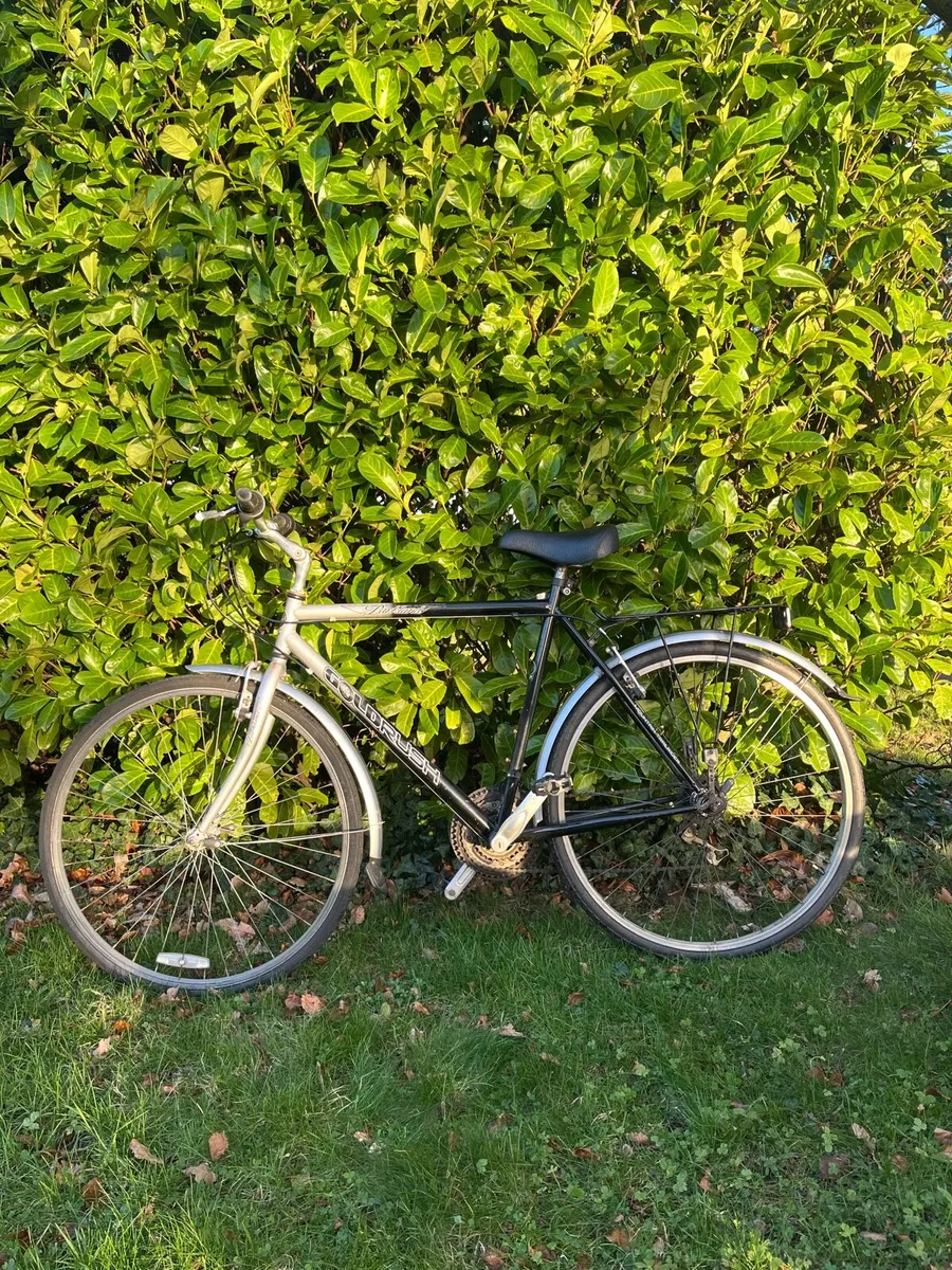 Goldrush Bike - Image 1