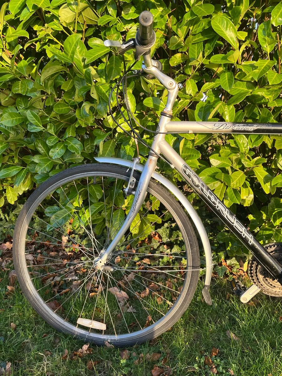 Goldrush Bike - Image 3