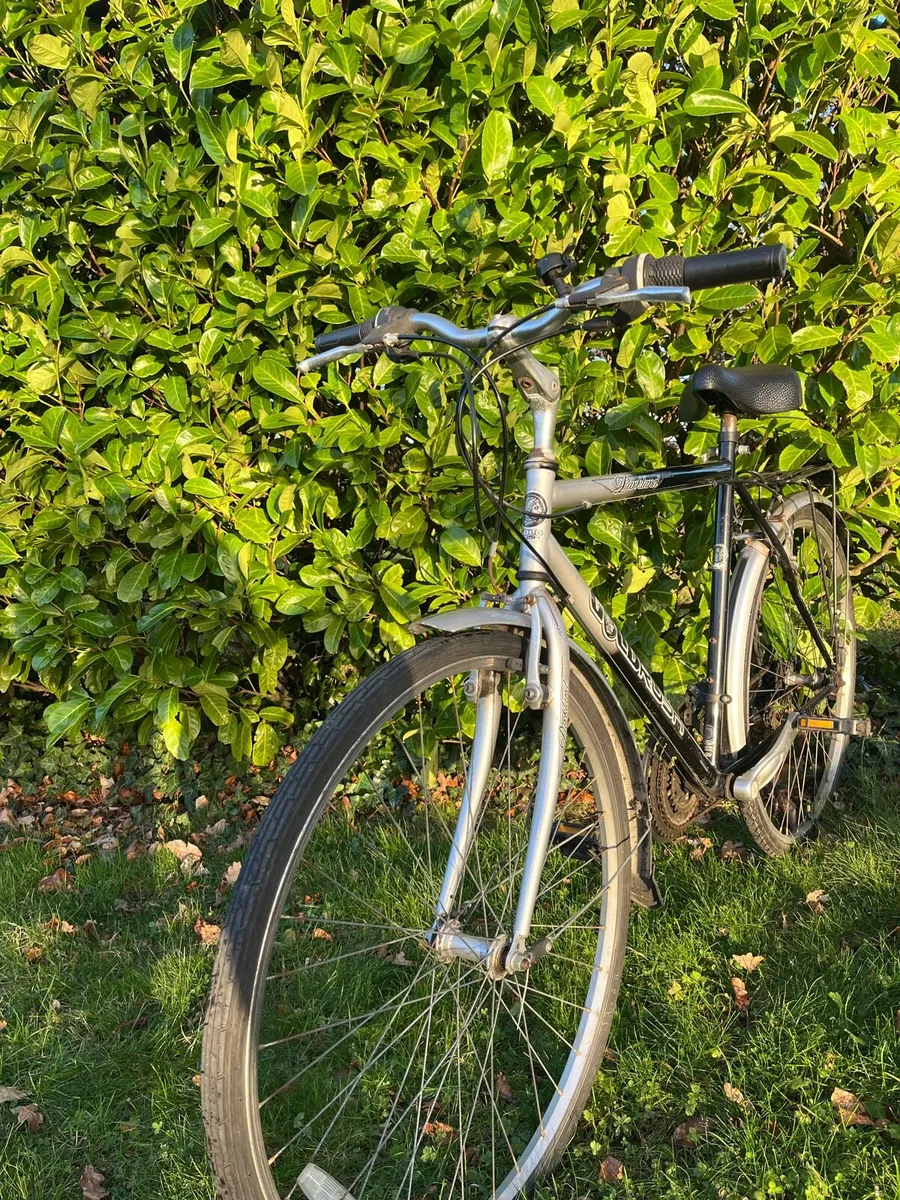 Goldrush Bike - Image 4