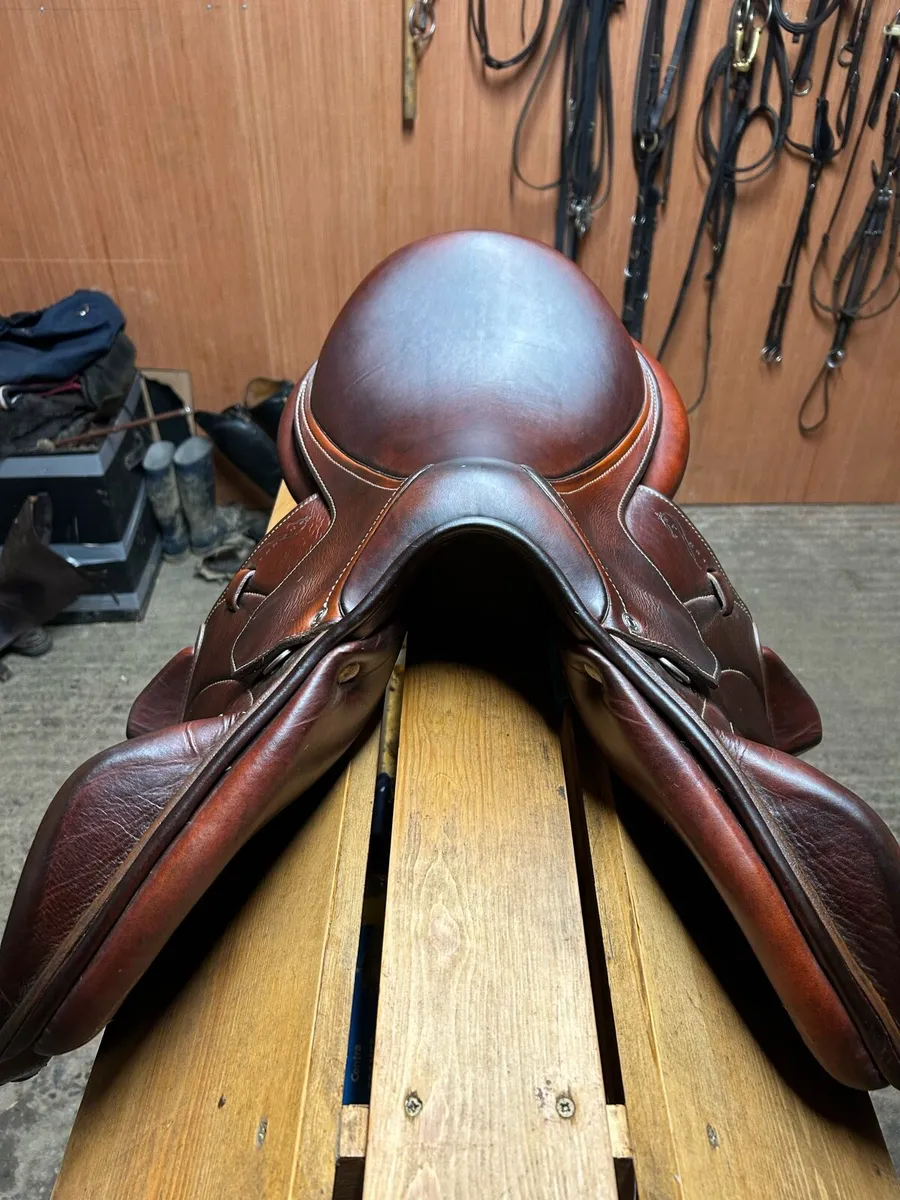 Antares Saddle - Image 3