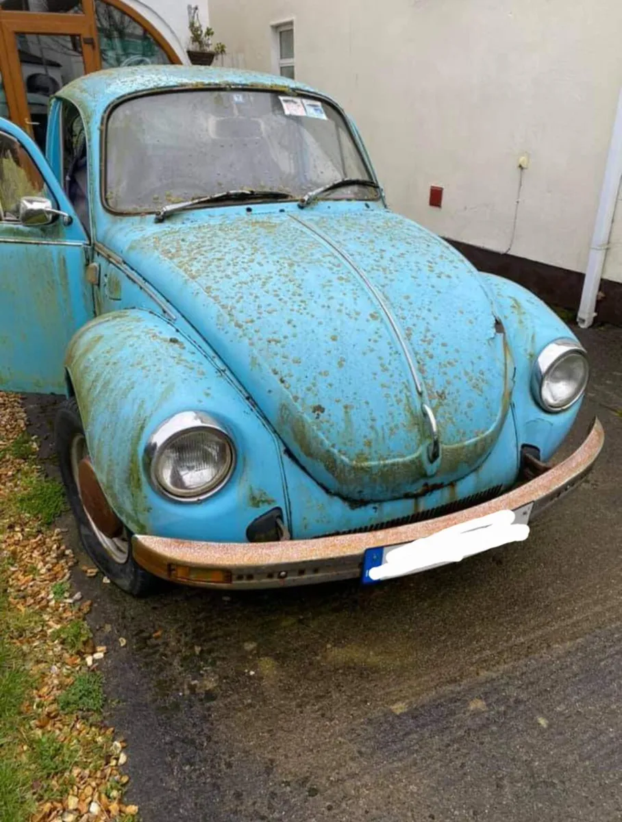 ((((((WANTED)))))) VW BEETLE  W.H.Y - Image 1